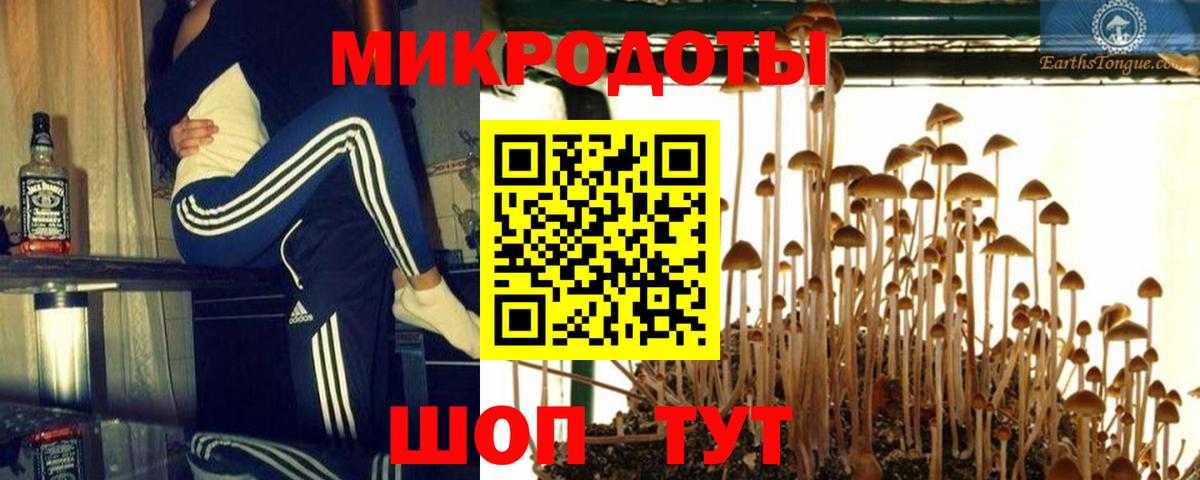 Галлюциногенные грибы Psilocybine cubensis  Псилоцибиновые грибы ЛСД  Курчалой  Вход с VPN 